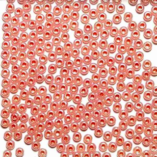 Rokajl 8/0 "71725" 20g/bal
